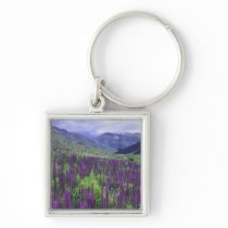 Mountains and wildflowers in alpine meadow, 2 keychains