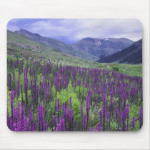 Mountains and wildflowers in alpine meadow, 2 mousepad