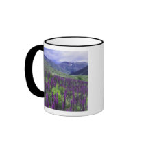 Mountains and wildflowers in alpine meadow, 2 coffee mug