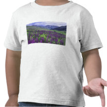 Mountains and wildflowers in alpine meadow, 2 tshirts