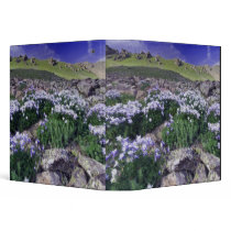 Mountains and wildflowers in alpine meadow, binder