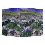 Mountains and wildflowers in alpine meadow, binders