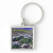 Mountains and wildflowers in alpine meadow, key chain