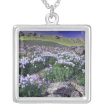 Mountains and wildflowers in alpine meadow, jewelry