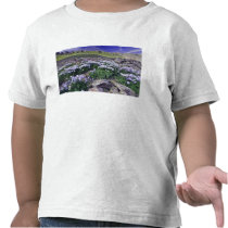 Mountains and wildflowers in alpine meadow, tshirts