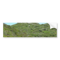 Mountains Hills Hiking Trees Trail Warner Springs bumper stickers