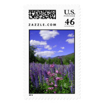 Mountains & Lupines postage by Litelisa Mountains & Lupines postage