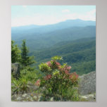 Mountains Poster