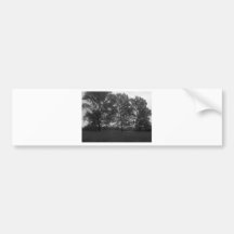 Mountview Park Triplets Bumper Stickers