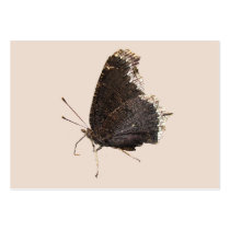 Mourning Cloak butterfly ~ ATC Business Cards