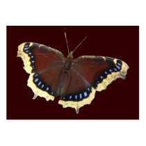 Mourning Cloak butterfly ~ ATC Business Card Templates