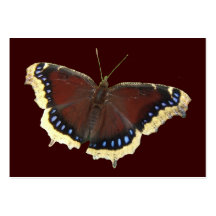 Mourning Cloak butterfly ~ ATC Business Card Templates