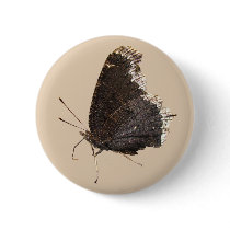 Mourning Cloak butterfly ~ button