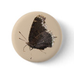 Mourning Cloak butterfly ~ button