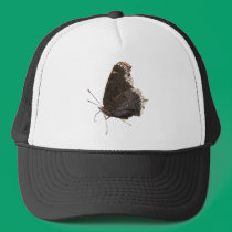 Mourning Cloak butterfly ~ hat hats