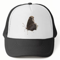 Mourning Cloak butterfly ~ hat