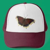 Mourning Cloak butterfly ~ hat hats