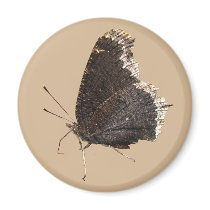 Mourning Cloak butterfly ~ magnet
