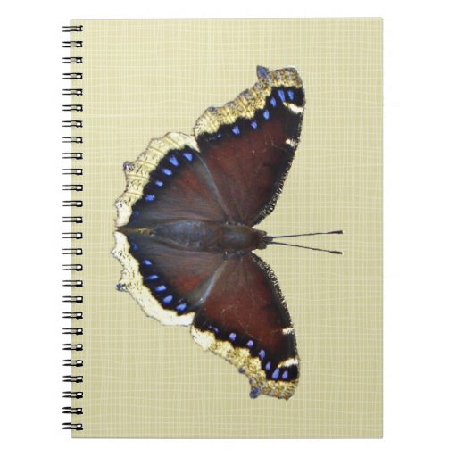 Mourning Cloak Butterfly - Nymphalis antiopa Notebook