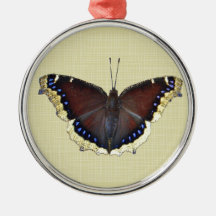 Mourning Cloak Butterfly - Nymphalis antiopa Ornaments