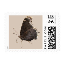 Mourning Cloak butterfly ~ stamp