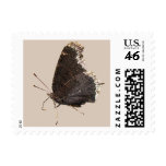 Mourning Cloak butterfly ~ stamp