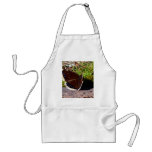 Mourning Cloak Butterfly Upclose aprons