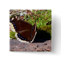 Mourning Cloak Butterfly Upclose Pinback Buttons