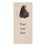 Mourning Cloak ~ rack card