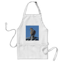 Mourning Dove aprons