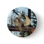 Mourning Dove buttons