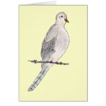 Mourning Dove Card cards