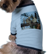 Mourning Dove pet clothing
