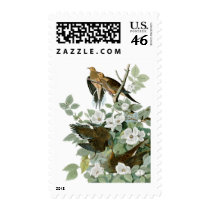 Mourning Dove, John James Audubon Postage Stamp