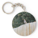 Mourning Dove keychains