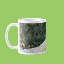 Mourning Dove mugs