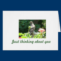 Mourning Dove Note Card cards