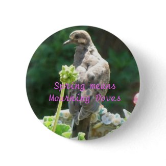 Lost Love, Mourning Dove