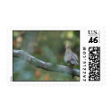 Mourning Dove postage