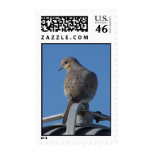 Mourning Dove Postage Stamp