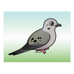 Mourning Dove Postcard