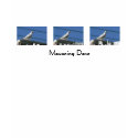 Mourning Dove t-shirts by codfishlady Mourning Dove t-shirts
