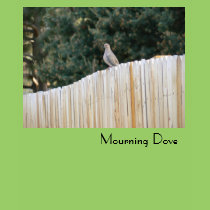 Mourning Dove t-shirts