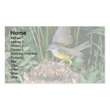 Mourning Warbler landing on nest Business Card