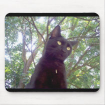 Mouschi mousepads