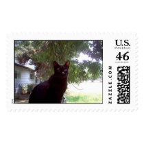 Mouschi stamps