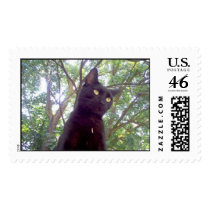 Mouschi stamps
