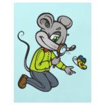 Mouse and Butterfly flyers
