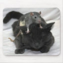 Mouse and cat mouse pad mousepads