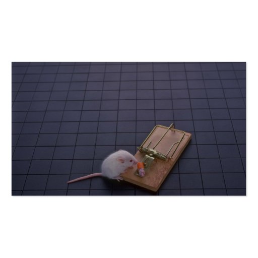Mouse and trap business card (back side)